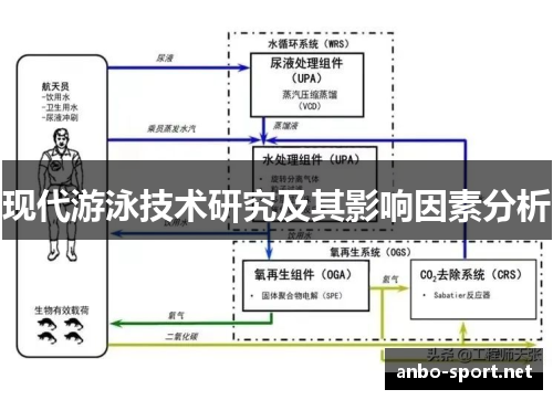 现代游泳技术研究及其影响因素分析