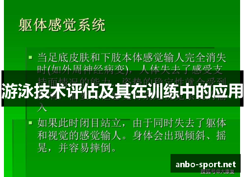 游泳技术评估及其在训练中的应用